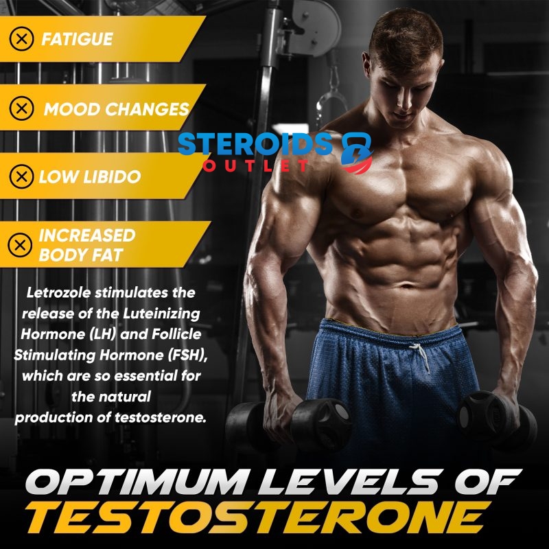 Buy Letrozole 10 Letrozole2