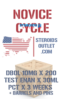 Novice Cycle 3 Buy Novice Steroid Cycle