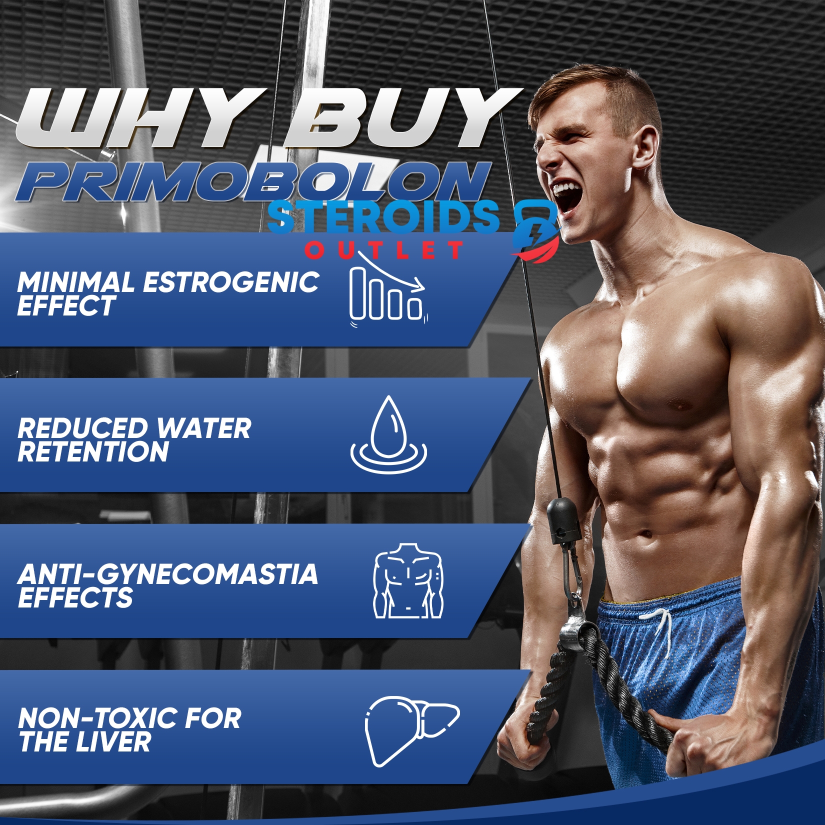 Buy Primobolan (Methenolone Enanthate) 5 Primobolan2